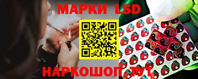 Альфа ПВП Краснознаменск