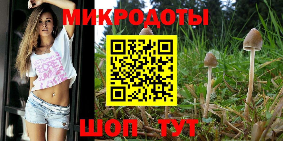 Галлюциногенные грибы MAGIC MUSHROOMS Йошкар-Ола